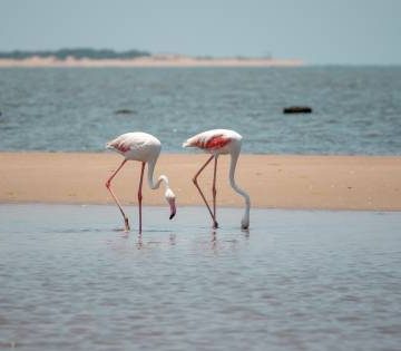 Mozambique Sets Its Sights on UK Travellers as Tourism Grows Ahead of 2027